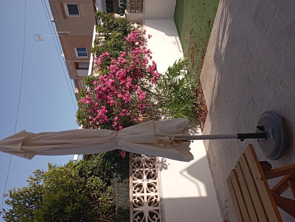  en venta pareado Gran Alacant Baix Vinalopó 7