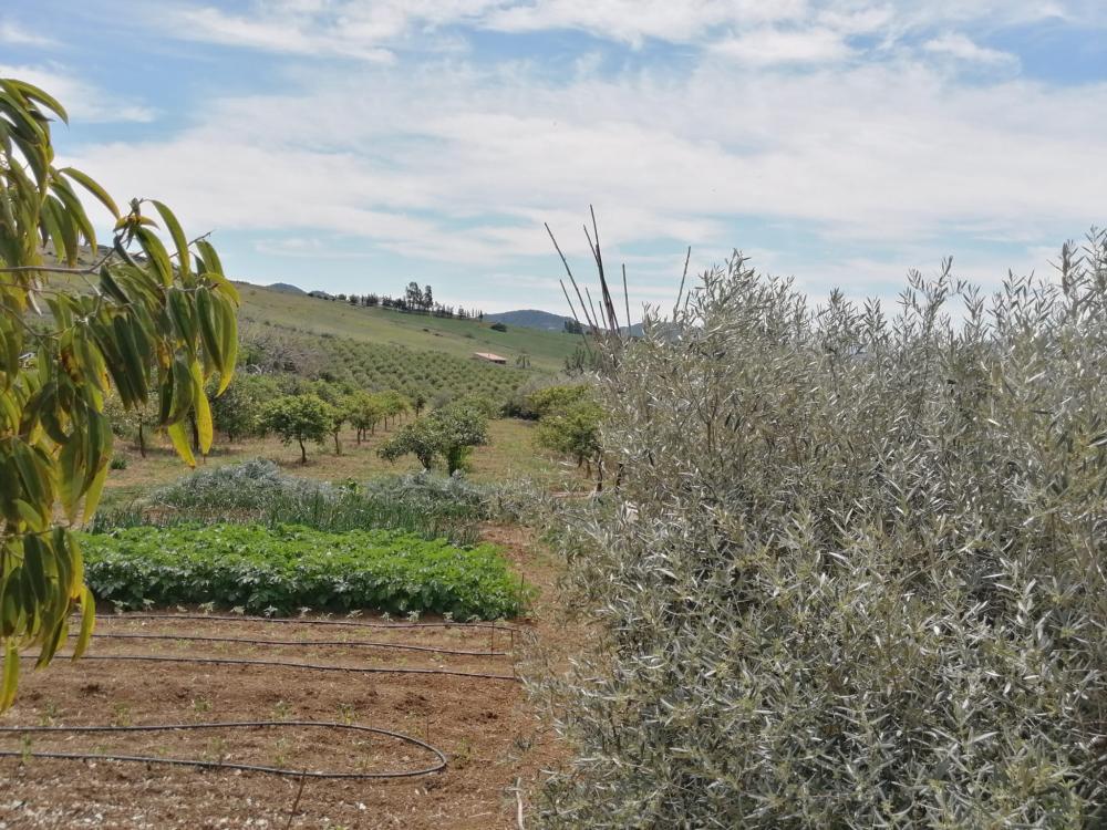  en venta casa Bermejo-Caracuel Valle Del Guadalhorce 46