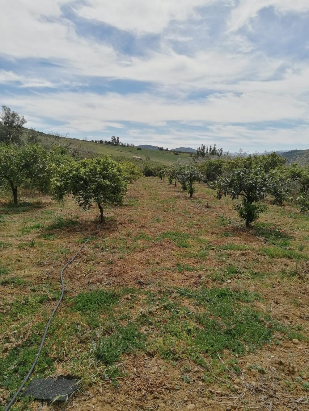 en venta casa Bermejo-Caracuel Valle Del Guadalhorce 39