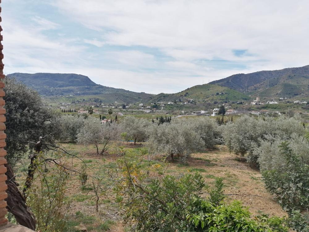  en venta casa Bermejo-Caracuel Valle Del Guadalhorce 43