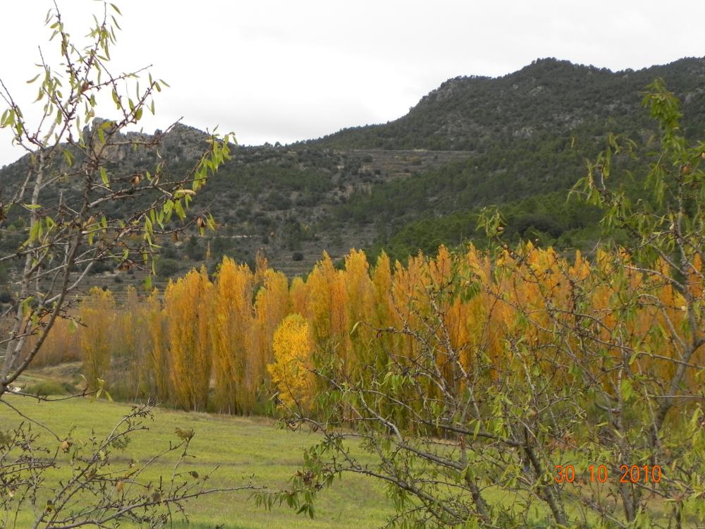  en venta casa Casicas De San Juan Noroeste 8