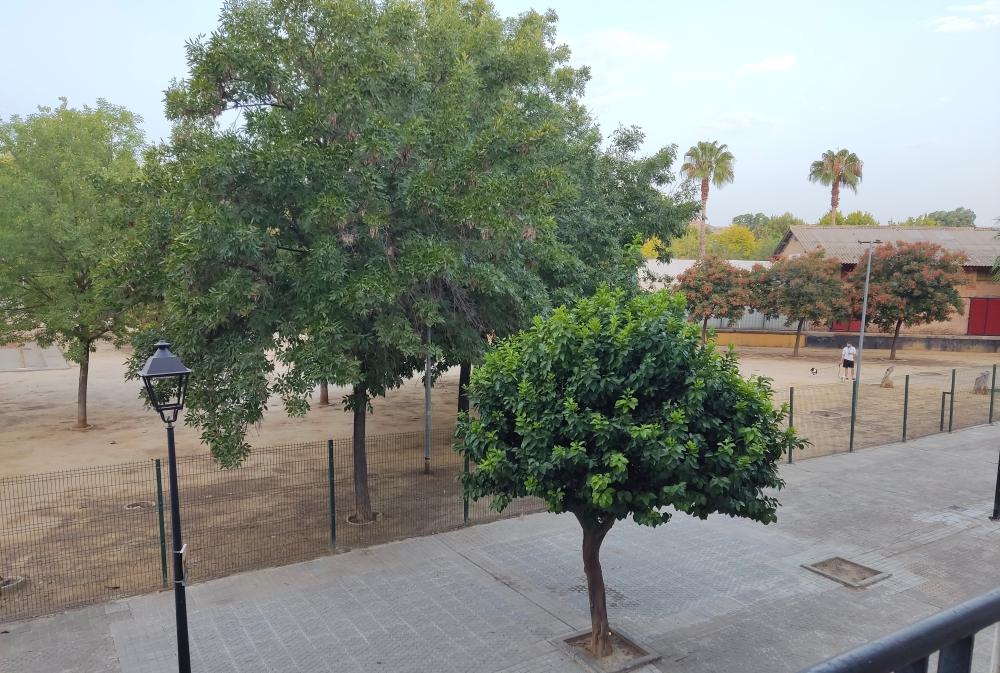  en venta apartamento Camas Metropolitana De Sevilla 8