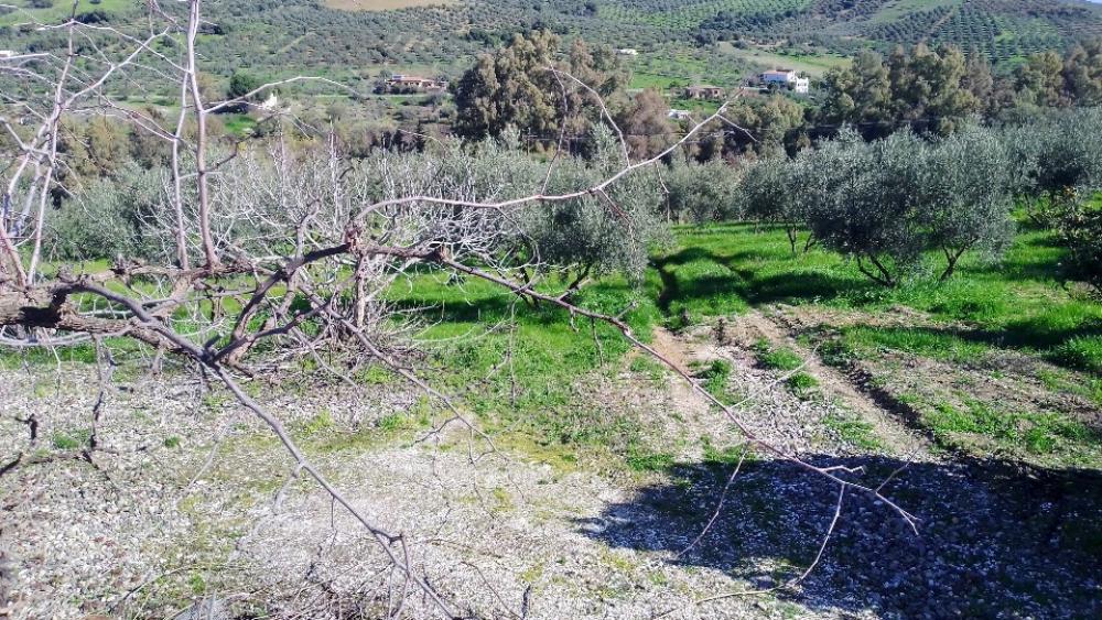  en venta chalet Coín Valle Del Guadalhorce 18