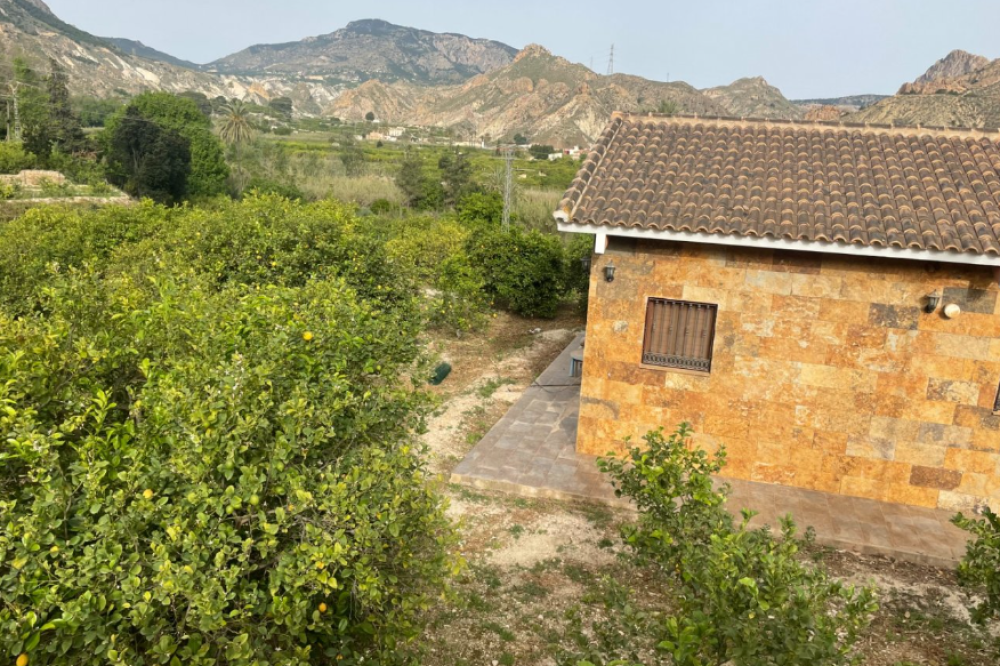  en venta finca rústica Villanueva Del Río Segura Valle De Ricote 24