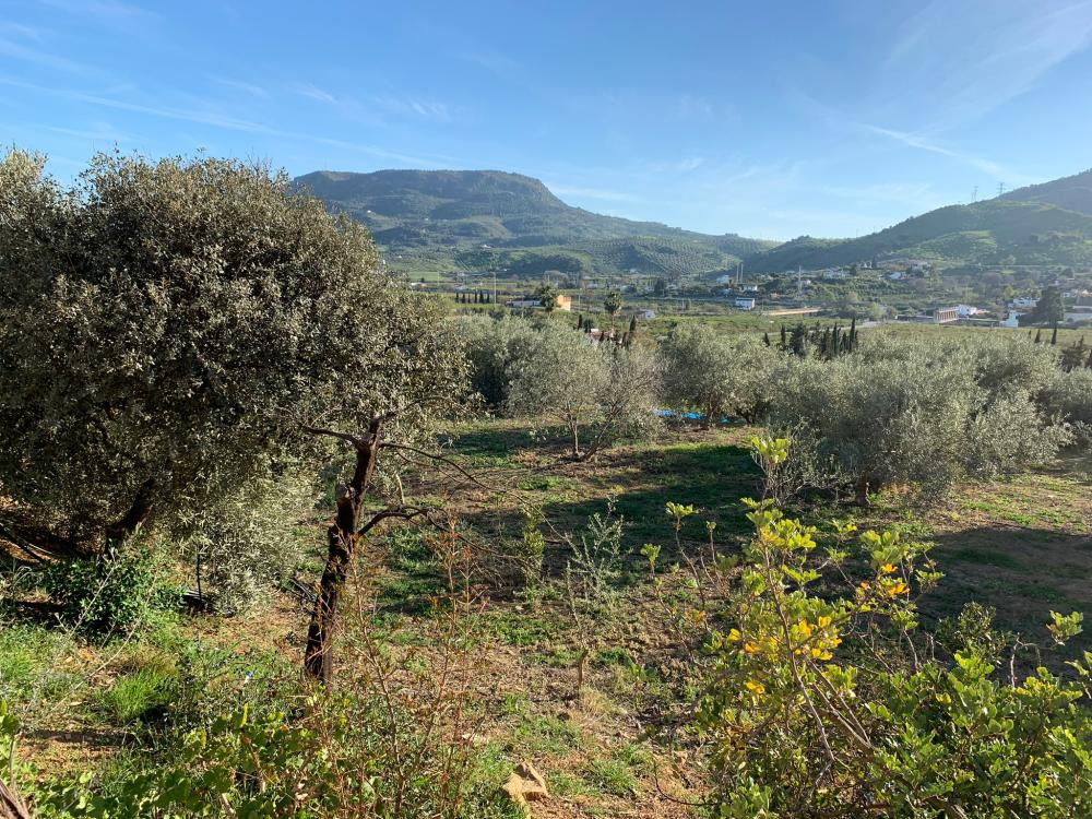  en venta casa Bermejo-Caracuel Valle Del Guadalhorce 27