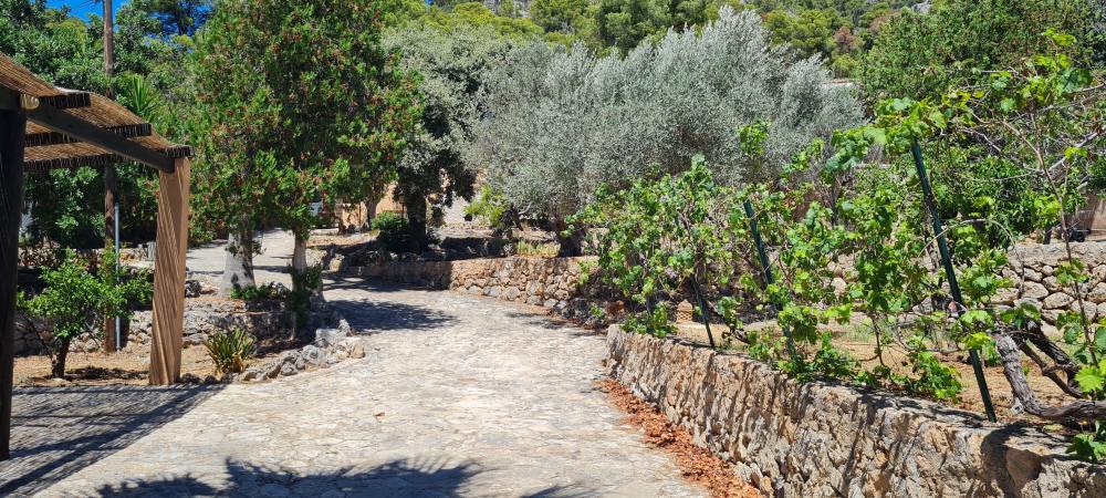  en venta chalet Bunyola Tramuntana 3