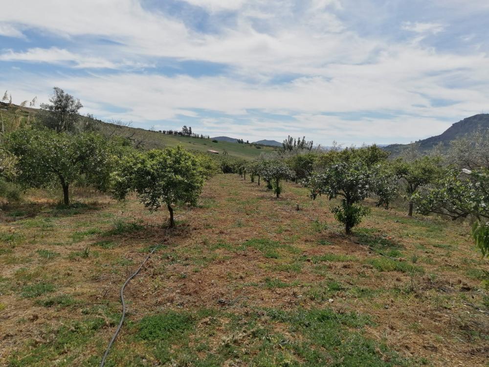  en venta casa Bermejo-Caracuel Valle Del Guadalhorce 37