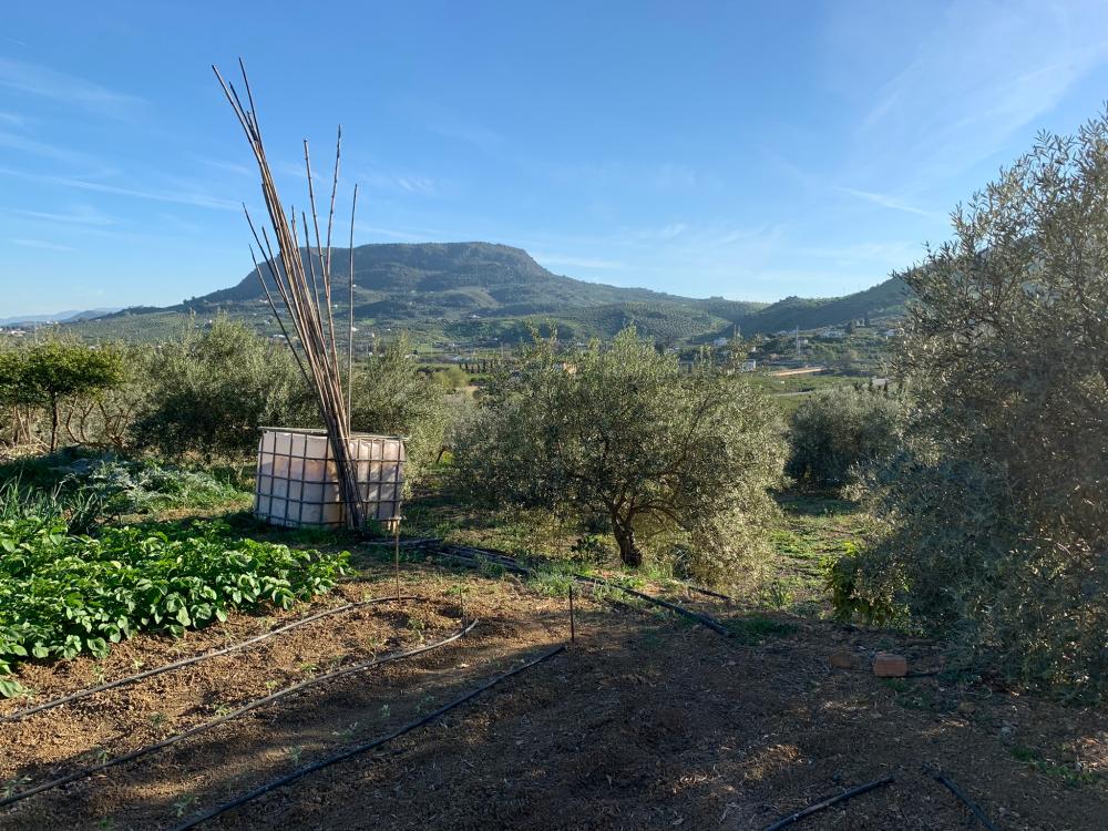 en venta casa Bermejo-Caracuel Valle Del Guadalhorce 32
