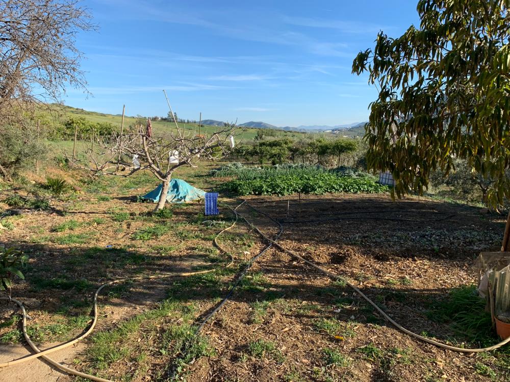  en venta casa Bermejo-Caracuel Valle Del Guadalhorce 26