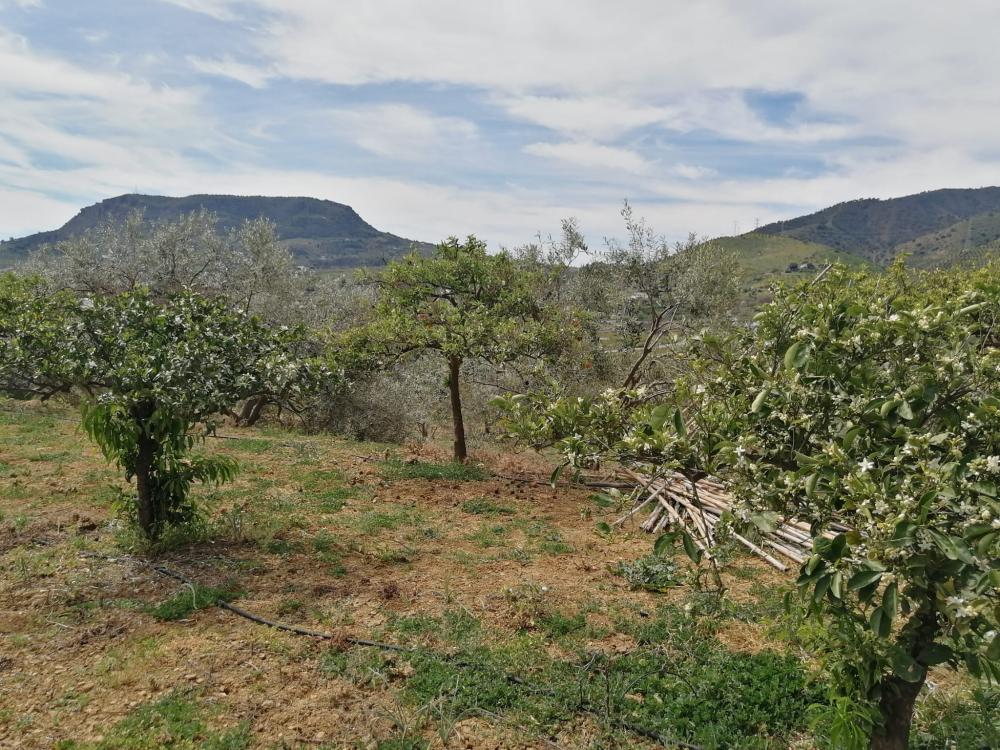  en venta casa Bermejo-Caracuel Valle Del Guadalhorce 36