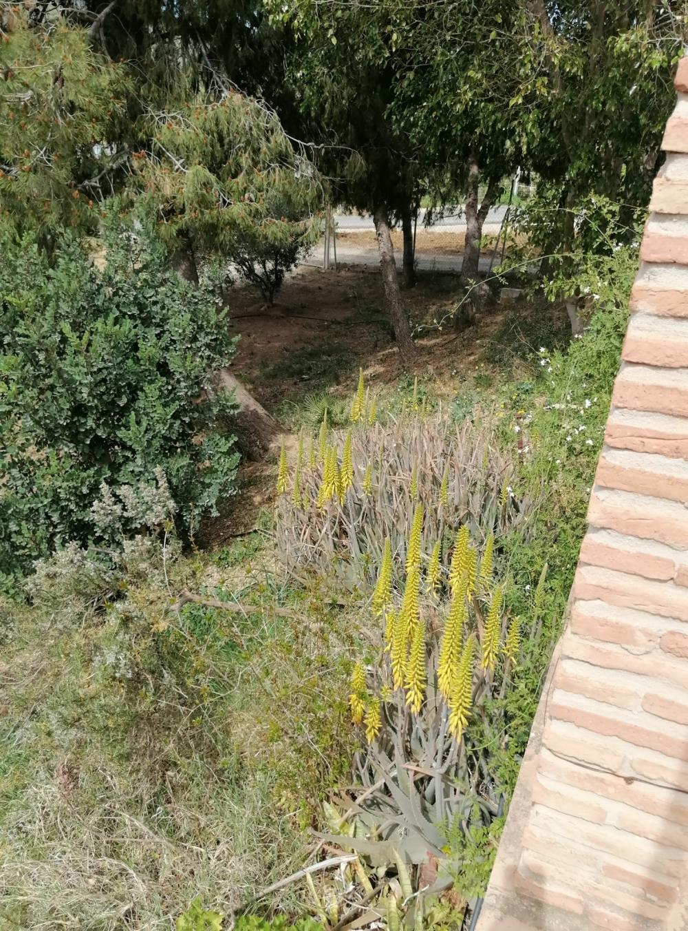  en venta casa Bermejo-Caracuel Valle Del Guadalhorce 41