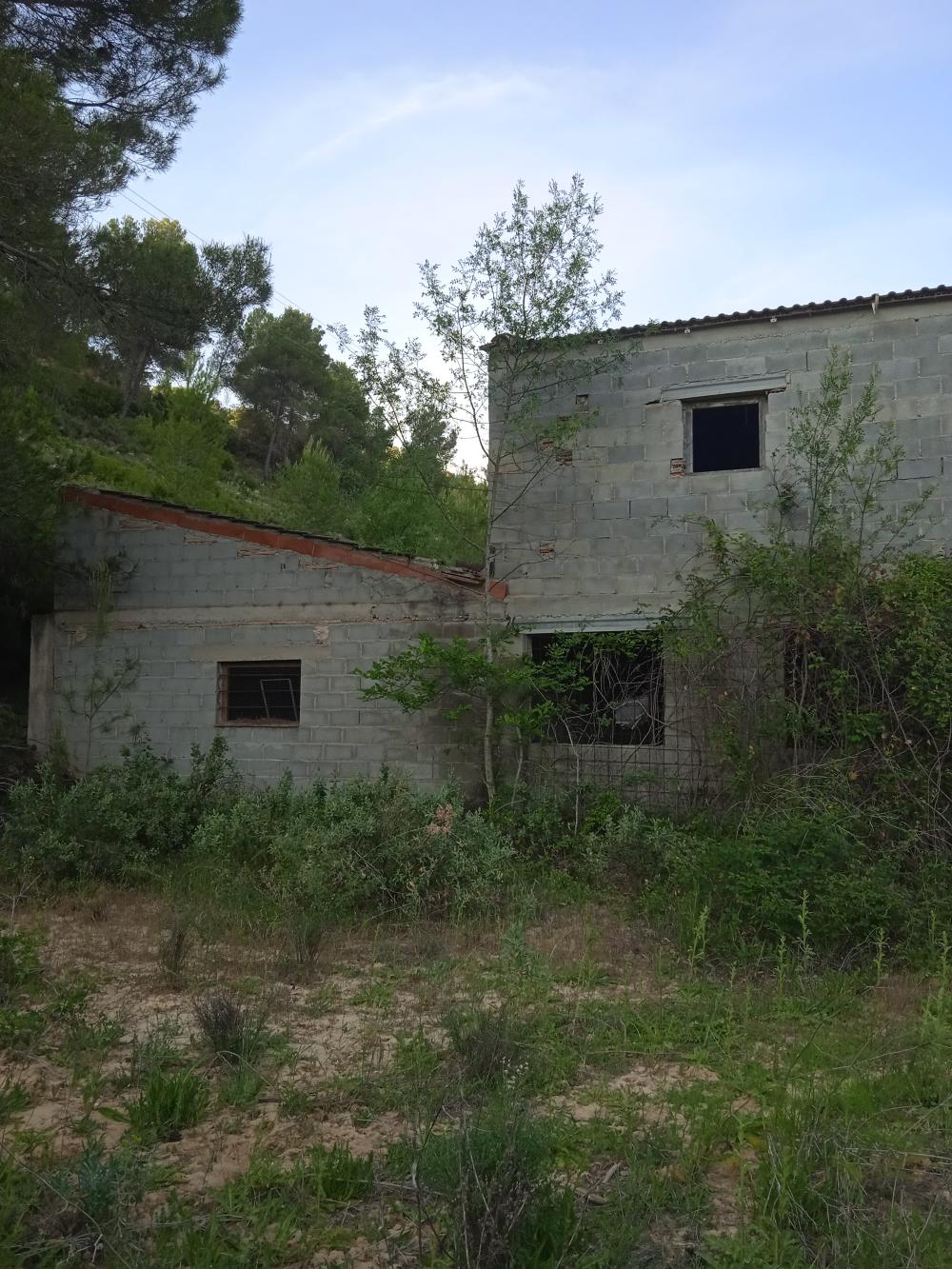  en venta finca rústica Calaceite Matarraña 4