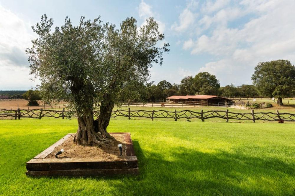 en venta casa Cassà De La Selva Gironès 3
