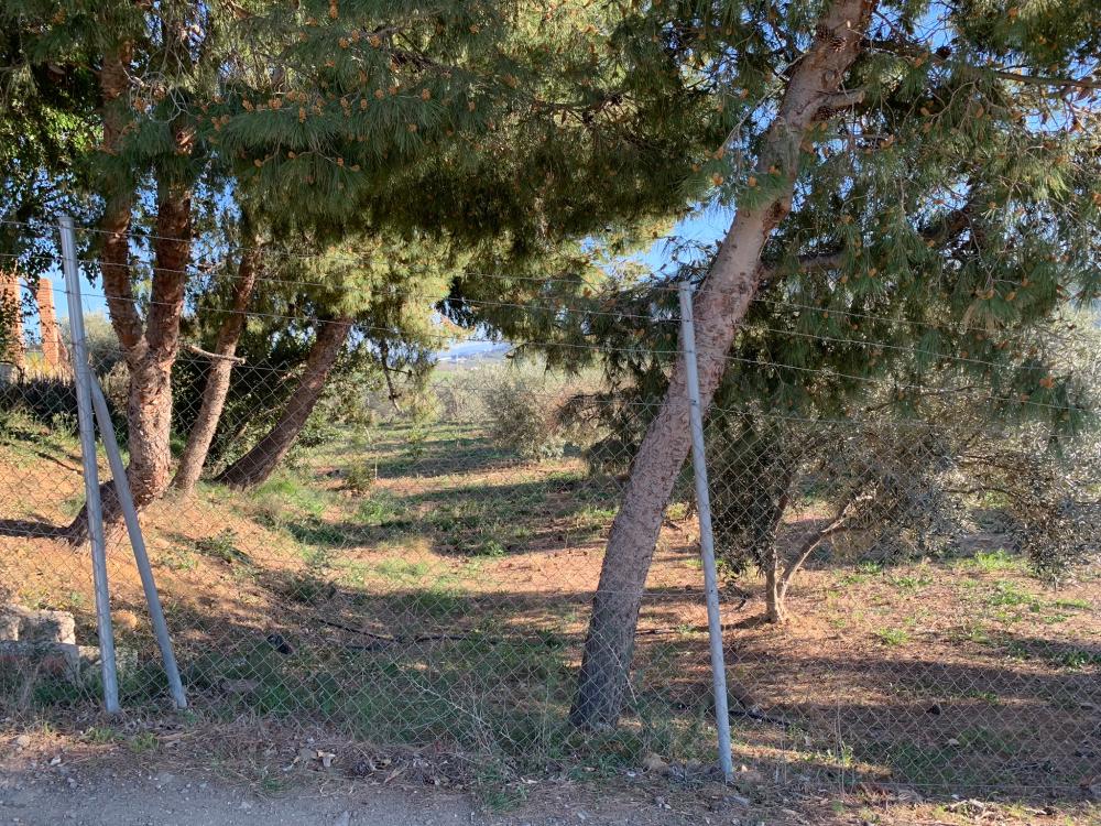  en venta casa Bermejo-Caracuel Valle Del Guadalhorce 24