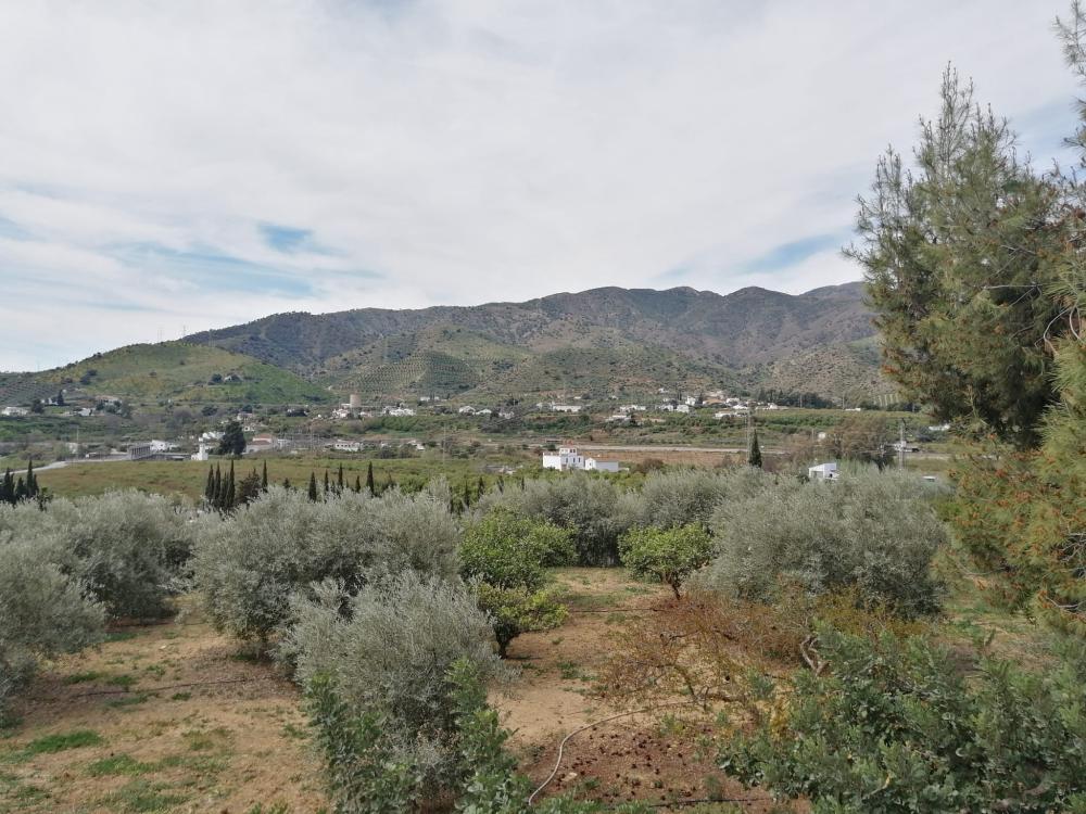  en venta casa Bermejo-Caracuel Valle Del Guadalhorce 44