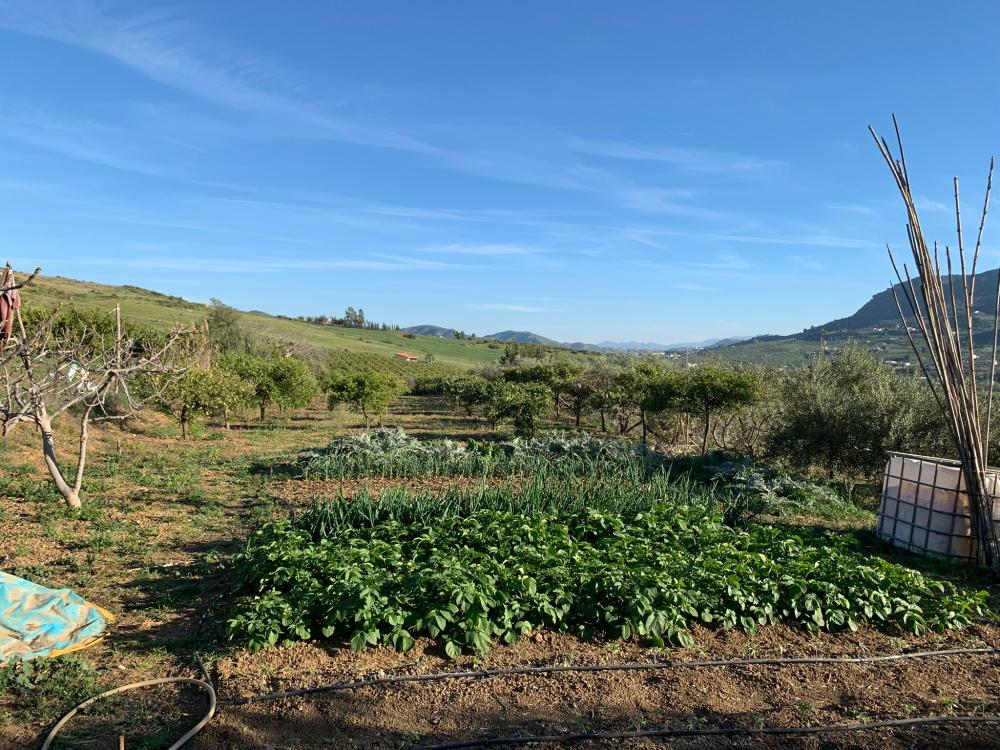  en venta casa Bermejo-Caracuel Valle Del Guadalhorce 31