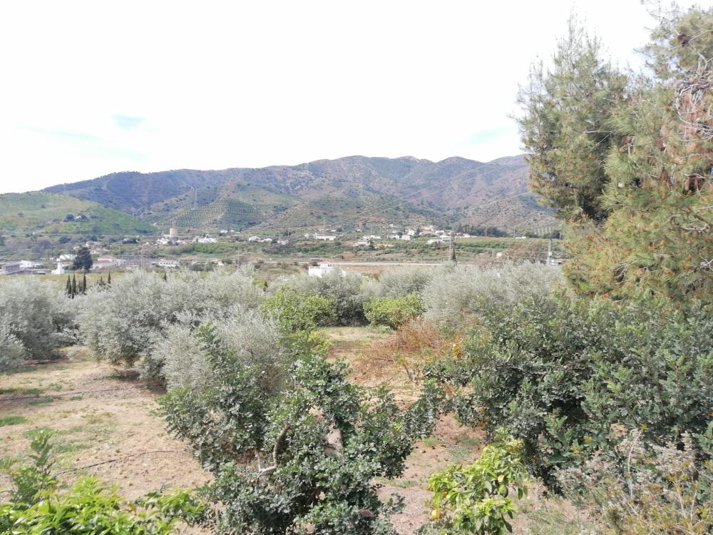  en venta casa Bermejo-Caracuel Valle Del Guadalhorce 45