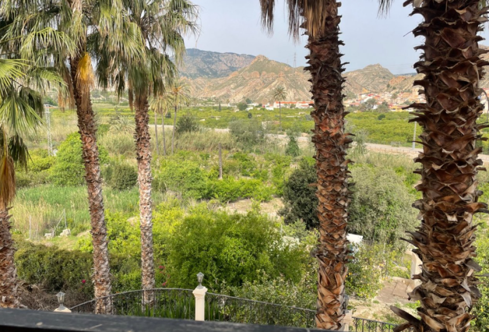  en venta finca rústica Villanueva Del Río Segura Valle De Ricote 20