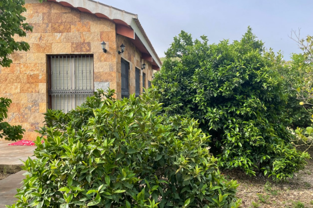  en venta finca rústica Villanueva Del Río Segura Valle De Ricote 21