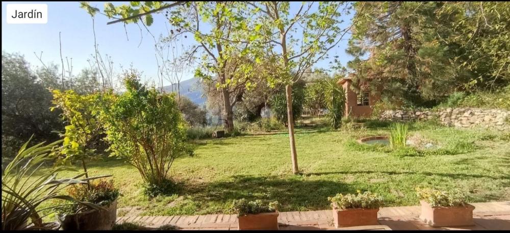  en venta casa Bayacas Alpujarra Granadina 13