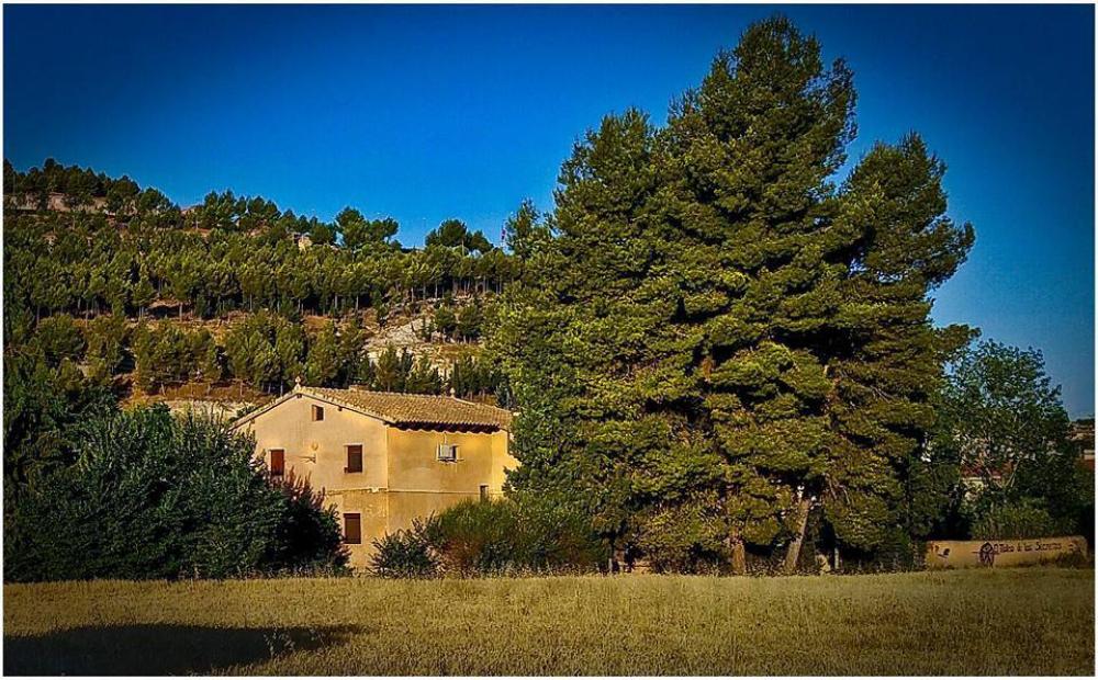  en venta finca rústica Almoguera Campiña 2