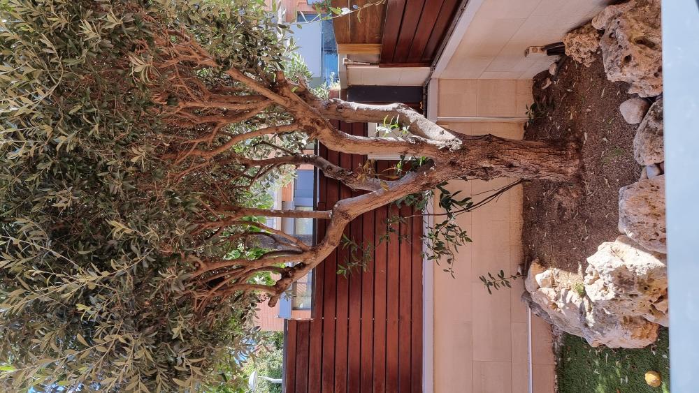  en venta casa Arenys De Mar Maresme 15