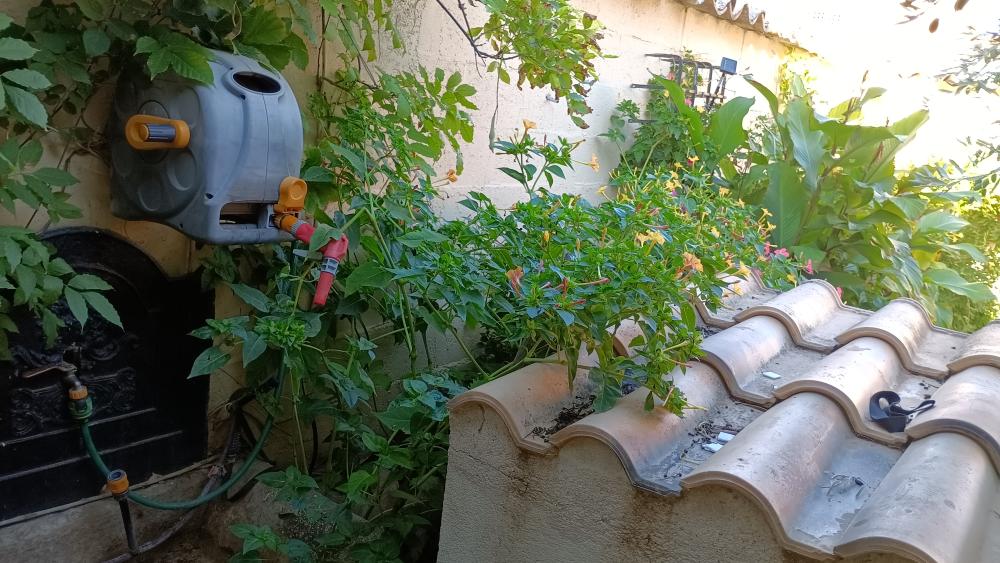  en venta casa Las Labores Mancha (La) 6