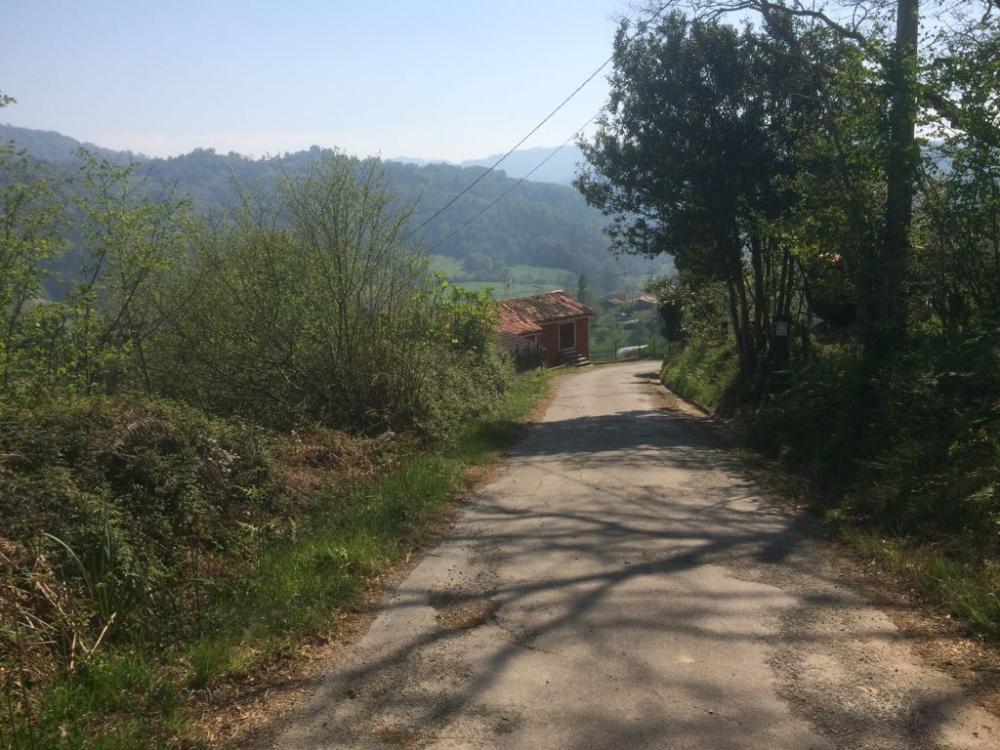  en venta finca rústica La Riba Oviedo 5