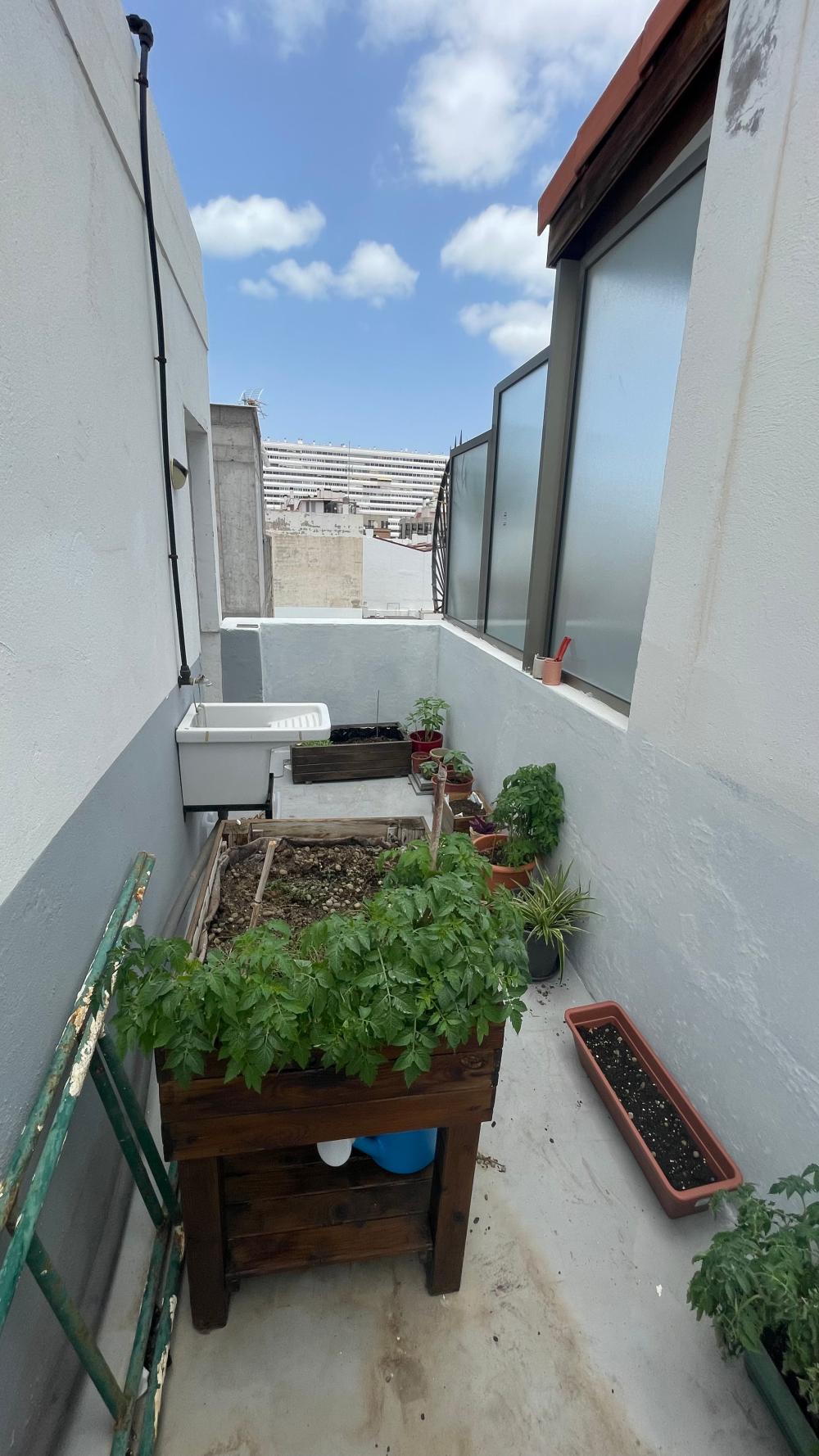  en venta apartamento Las Palmas Centro 35004 Palmas De Gran Canaria (Las) 18