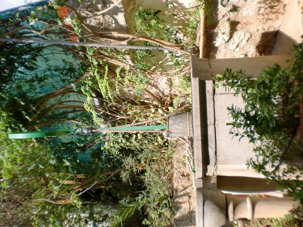  en venta casa Lloseta Raiguer 22
