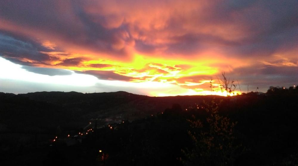  en venta finca rústica La Riba Oviedo 6