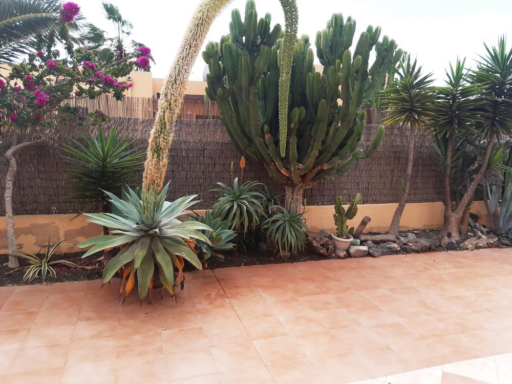  en venta casa Geafond Oliva (La) 4