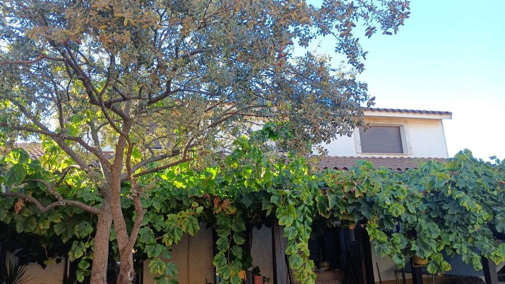  en venta casa Las Labores Mancha (La) 30