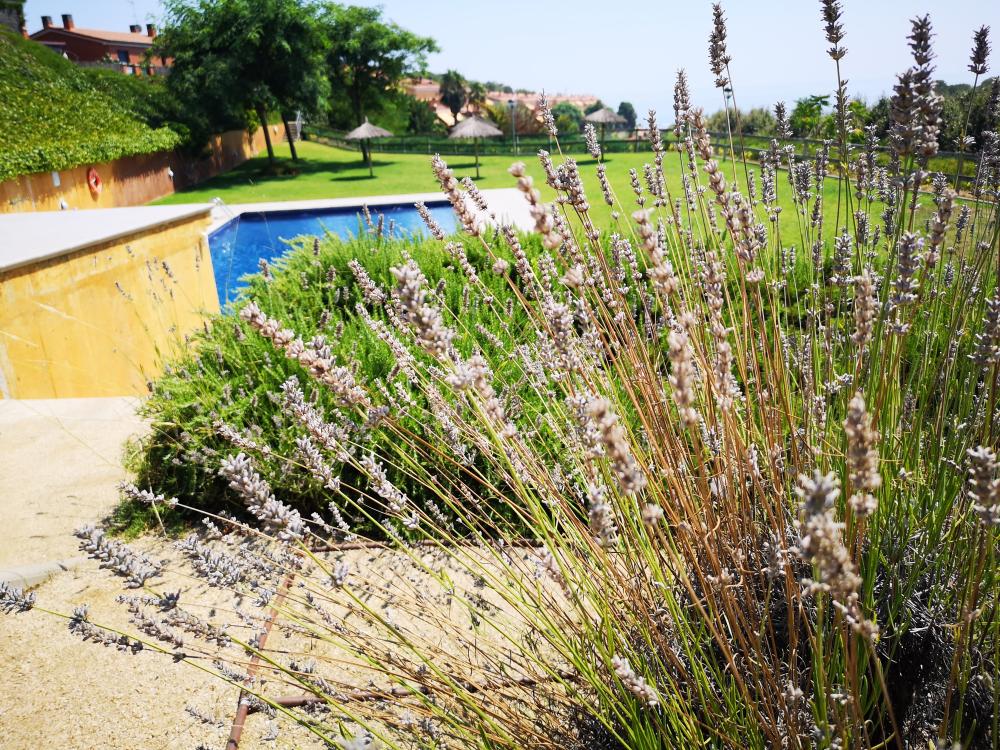  en venta casa Arenys De Mar Maresme 36