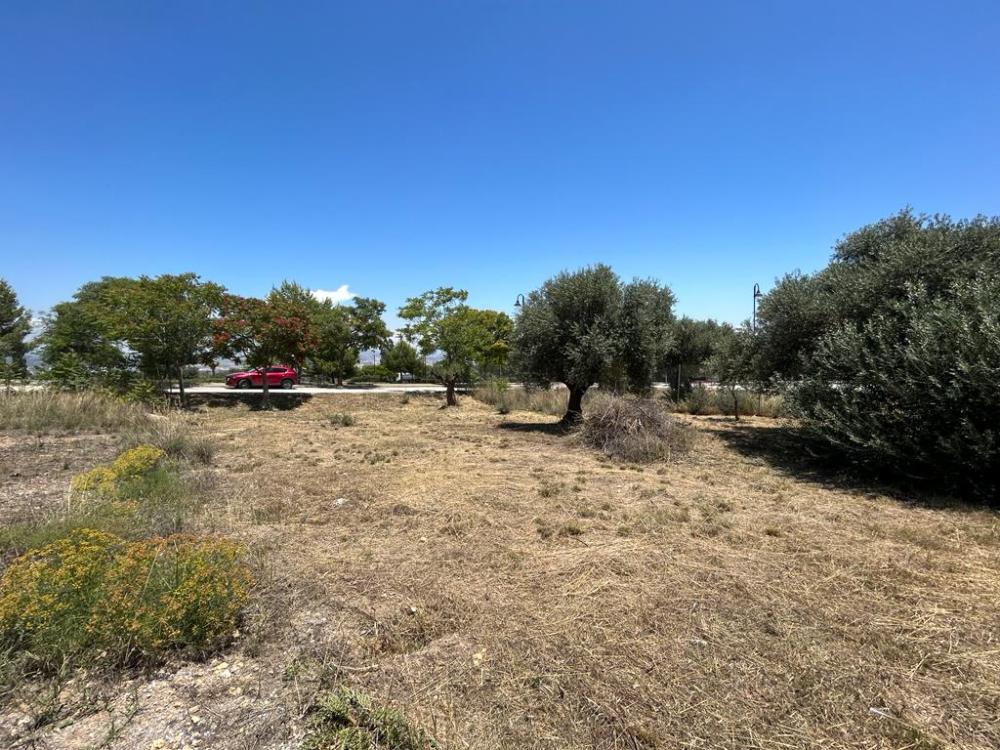 en venta terreno Churriana Málaga-Costa Del Sol 3