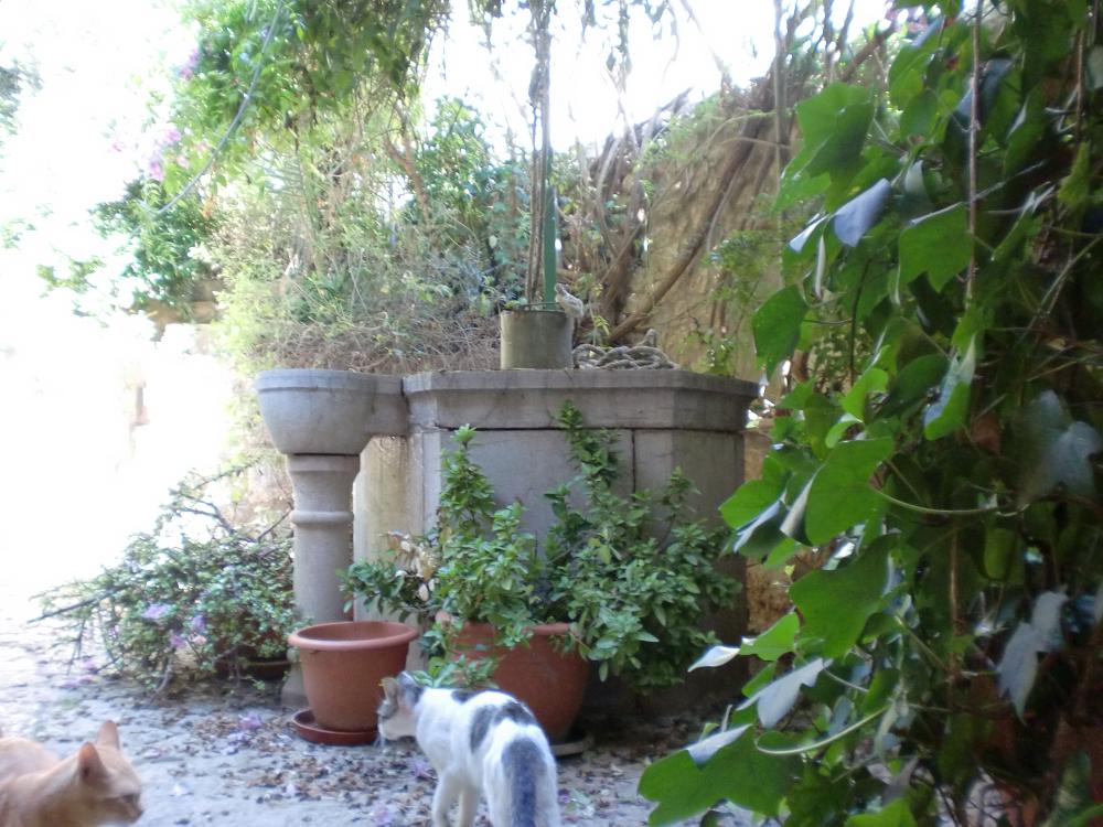  en venta casa Lloseta Raiguer 20
