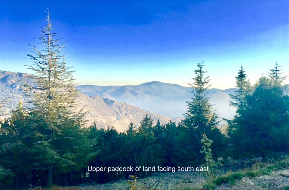  en venta finca rústica Pampaneira Alpujarra Granadina 25