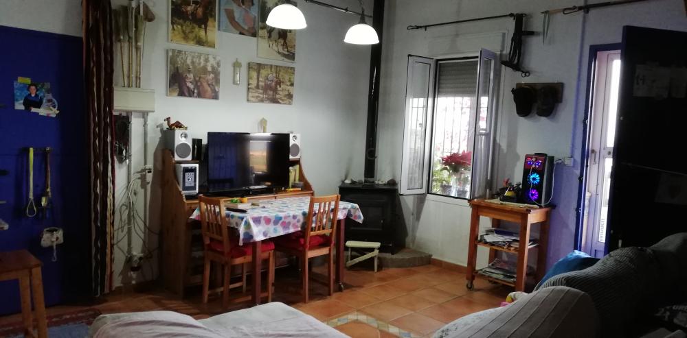  en venta finca rústica Villanueva Del Río Y Minas Vega Del Guadalquivir 12