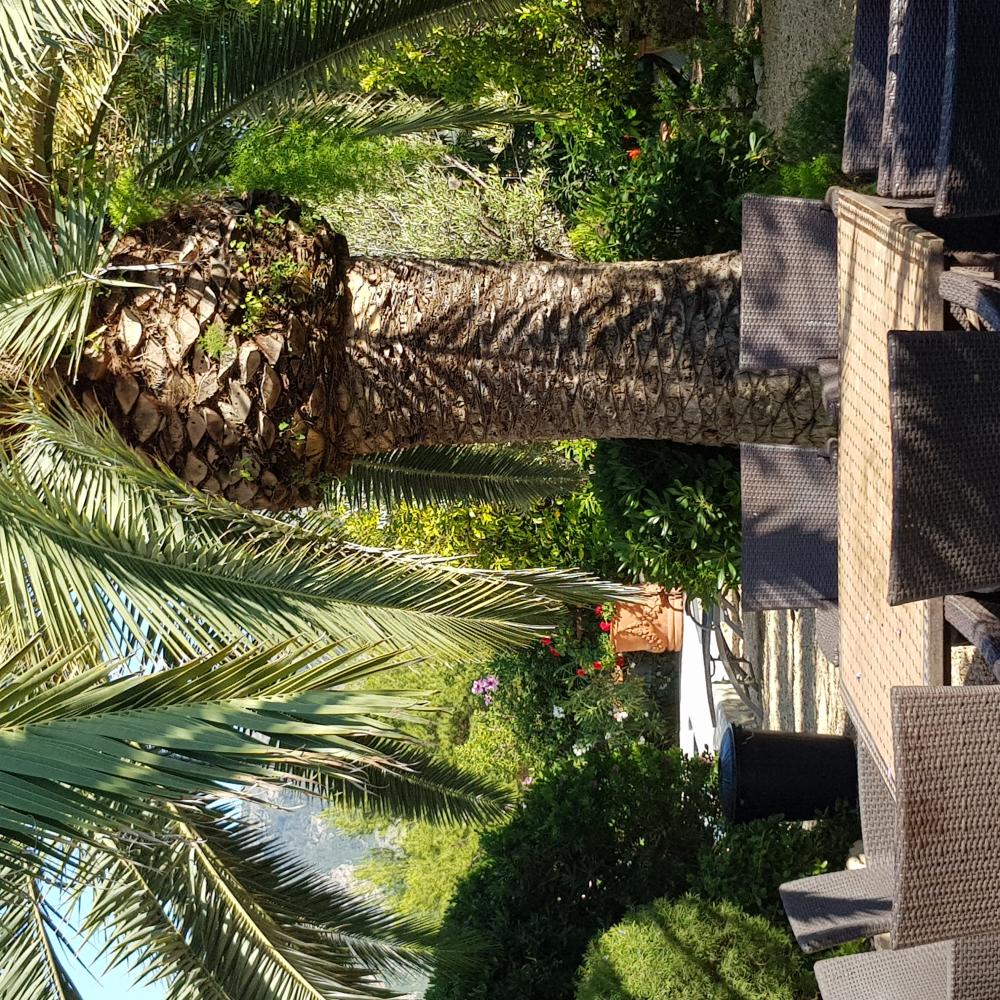  en venta chalet Alfaz Del Pi Marina Baixa 25