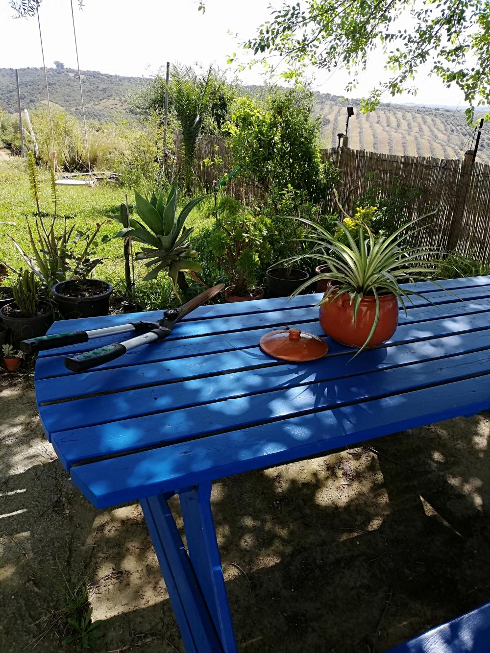  en venta finca rústica Villanueva Del Río Y Minas Vega Del Guadalquivir 5