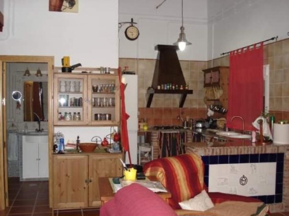  en venta finca rústica Villanueva Del Río Y Minas Vega Del Guadalquivir 32