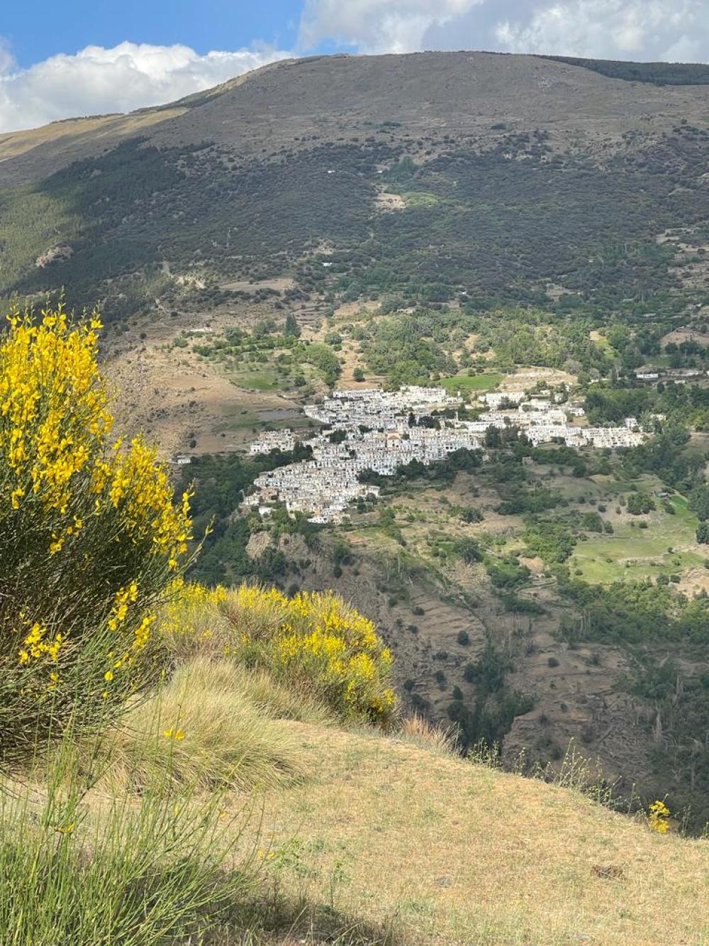  en venta finca rústica Pampaneira Alpujarra Granadina 2