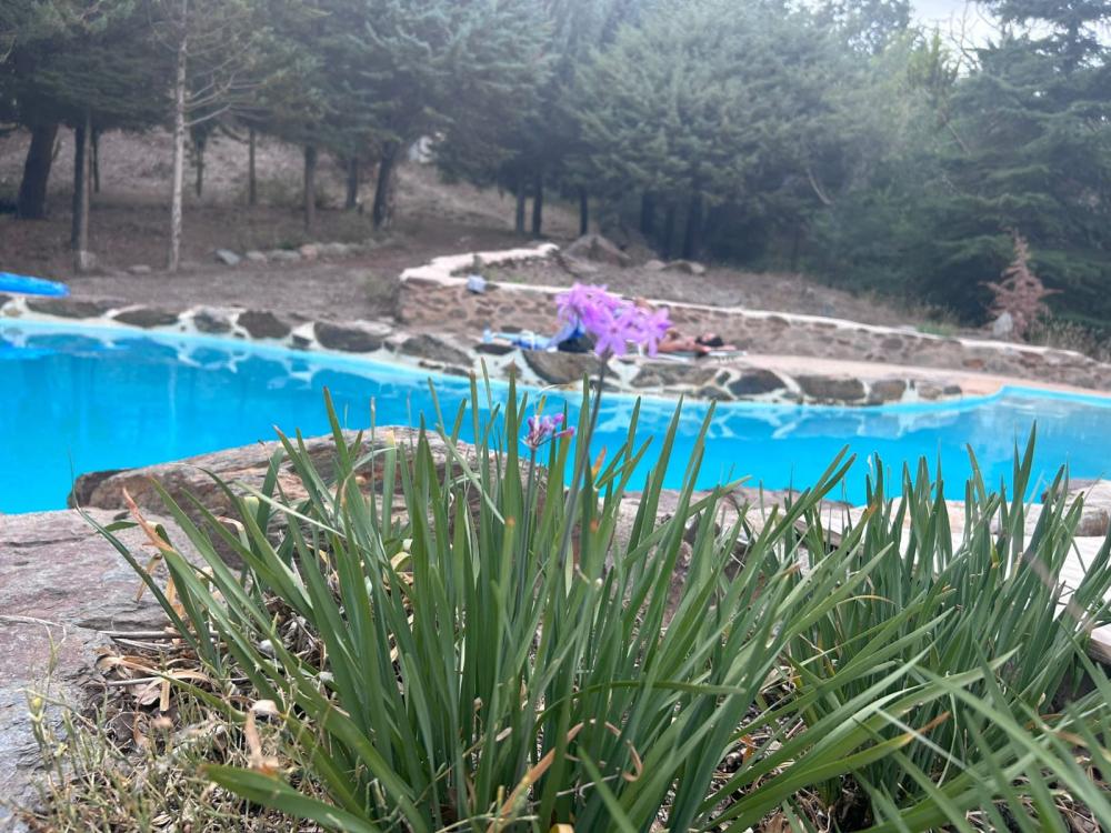  en venta finca rústica Pampaneira Alpujarra Granadina 16