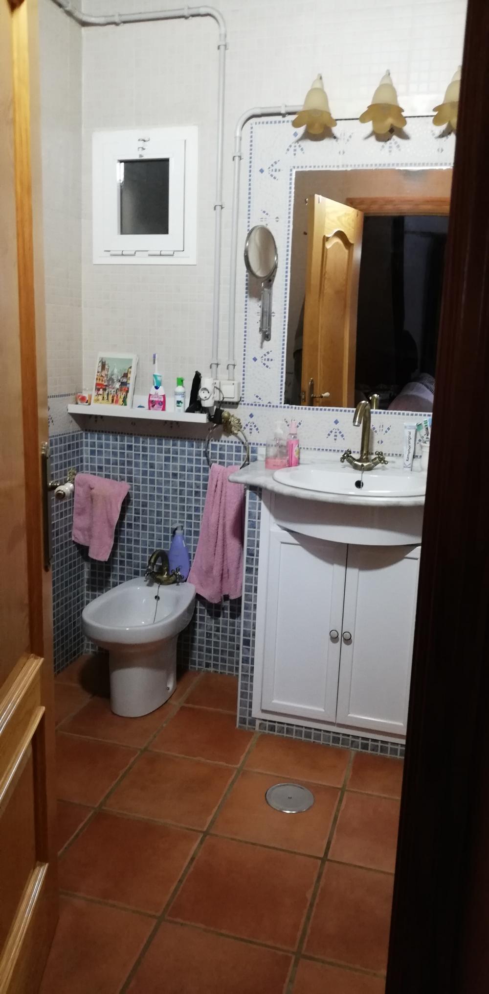  en venta finca rústica Villanueva Del Río Y Minas Vega Del Guadalquivir 33