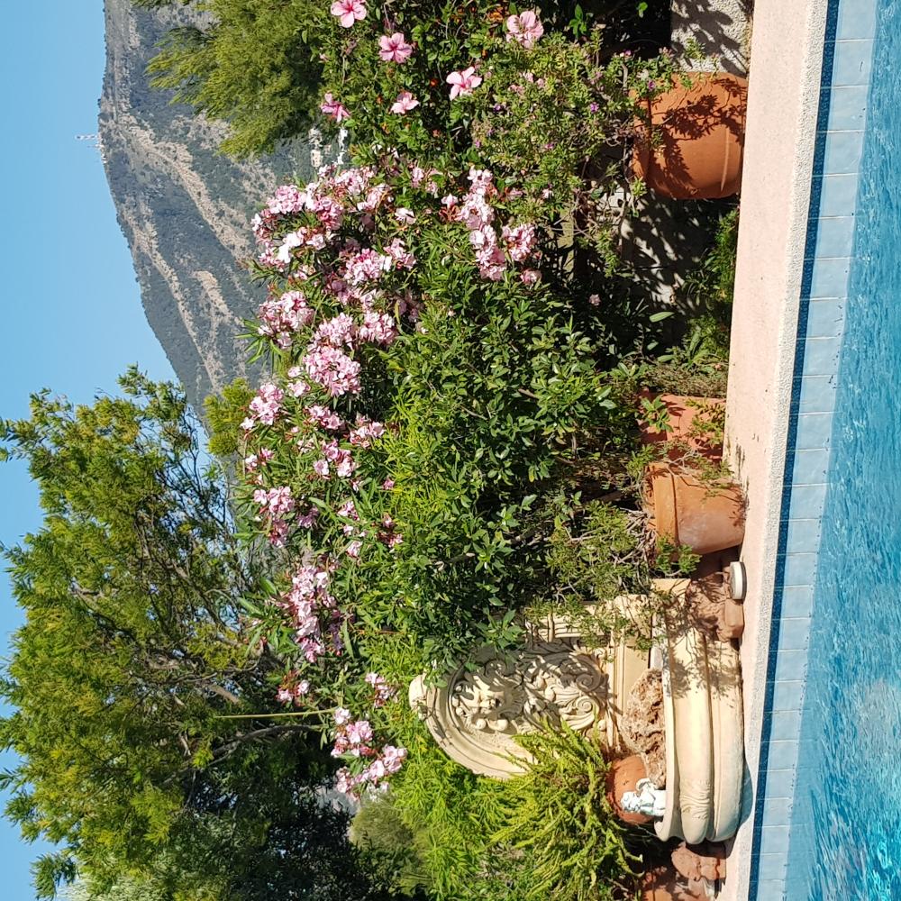  en venta chalet Alfaz Del Pi Marina Baixa 18