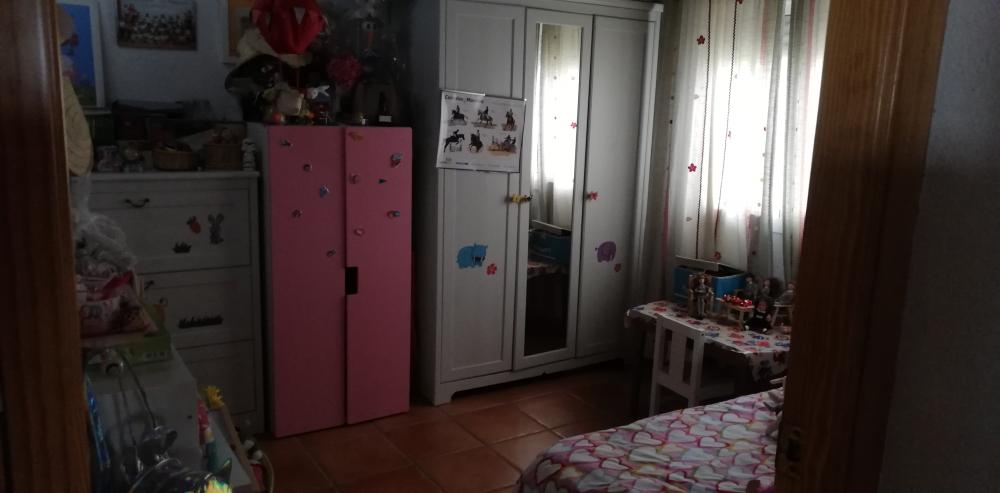  en venta finca rústica Villanueva Del Río Y Minas Vega Del Guadalquivir 17