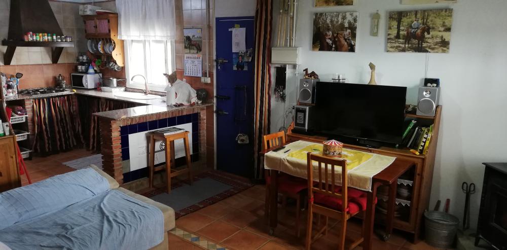  en venta finca rústica Villanueva Del Río Y Minas Vega Del Guadalquivir 19