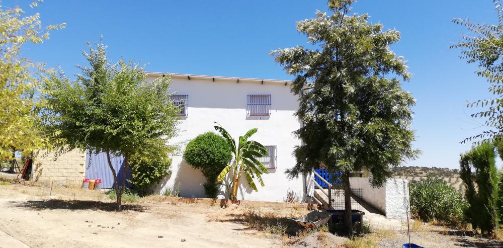  en venta finca rústica Villanueva Del Río Y Minas Vega Del Guadalquivir 28
