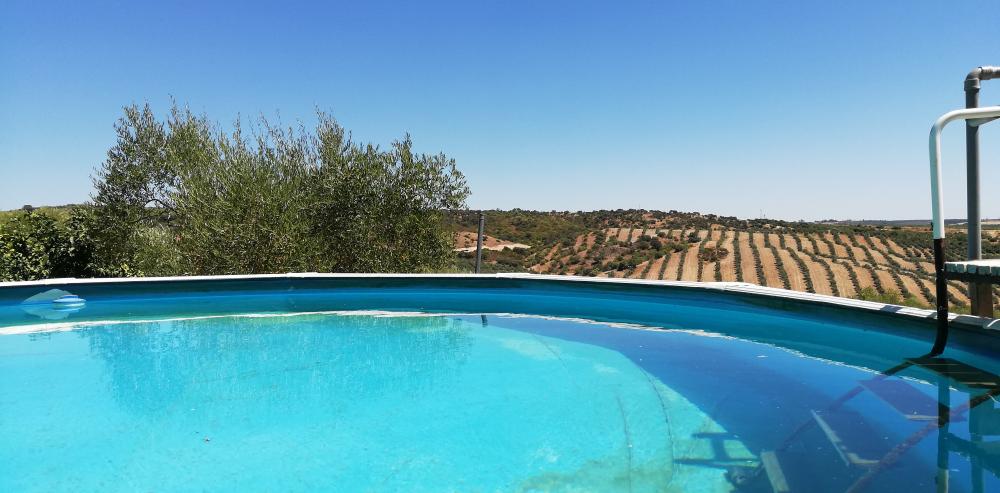  en venta finca rústica Villanueva Del Río Y Minas Vega Del Guadalquivir 6