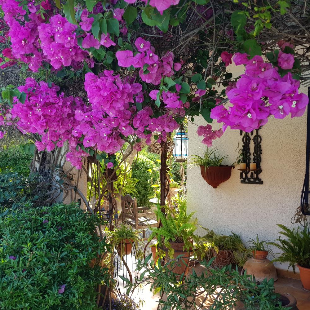  en venta chalet Alfaz Del Pi Marina Baixa 24